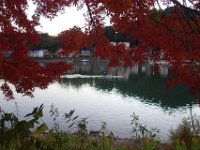 DSC02180