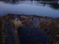 DSC02218