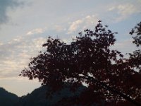 DSC02285