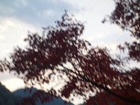 DSC02287