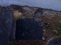 DSC02327