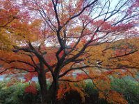 DSC02330
