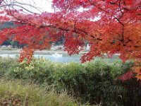 DSC02335