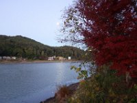 DSC02390
