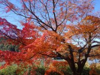 DSC02396