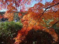 DSC02400
