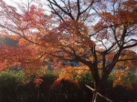 DSC02439