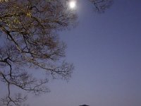 DSC02451