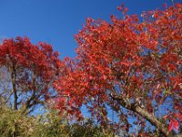 DSC02546