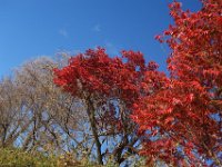 DSC02548