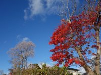 DSC02559