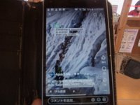 RIMG0457