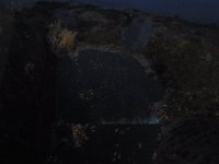 RIMG0586