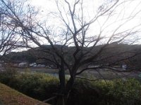 RIMG0641