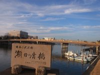 RIMG0669