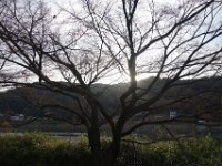 DSC02589