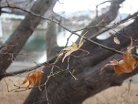 DSC02591