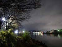 DSC02598