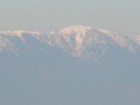 RIMG0793