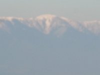 RIMG0798
