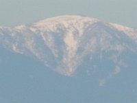 RIMG0812