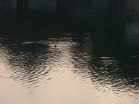 RIMG0819
