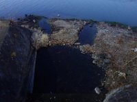 DSC02761