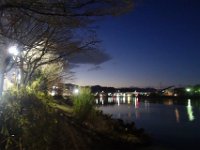 DSC02817