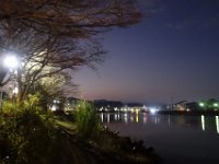 DSC02845