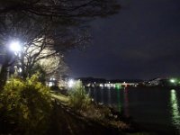DSC02881