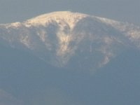 RIMG0939