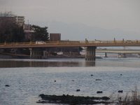RIMG0954
