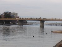 RIMG0955