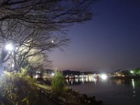 DSC02960