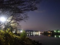 DSC02973