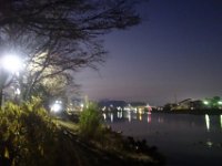 DSC02985