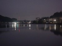 DSC02992