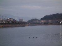 DSC03015