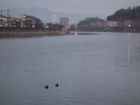 DSC03016
