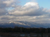 RIMG1018