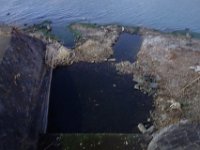 DSC03102