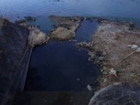 DSC03194