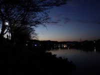 DSC03252