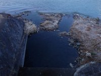 DSC03320