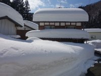 DSC03334
