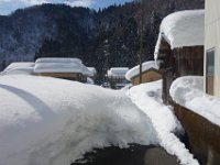 DSC03335