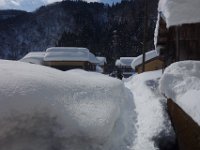 DSC03336