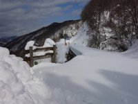 DSC03346