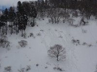 DSC03361