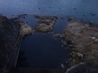 DSC03414